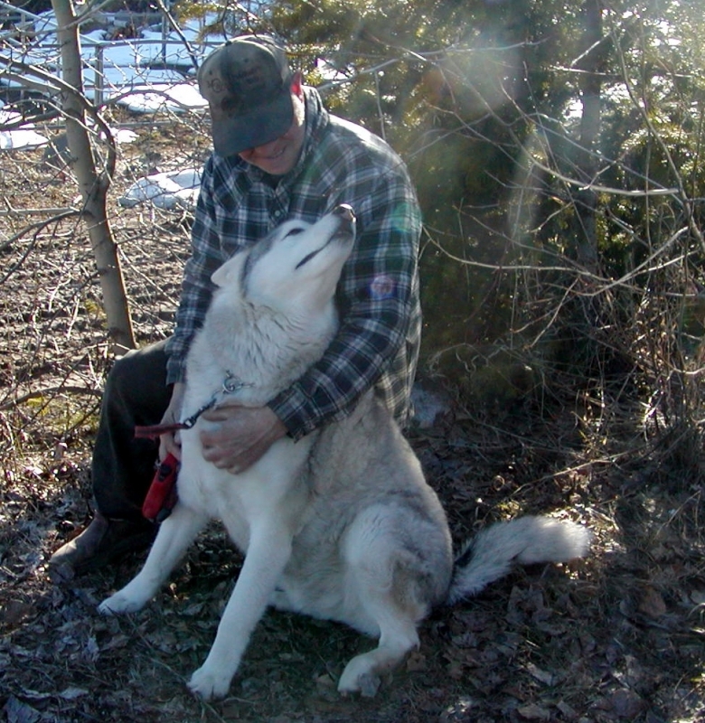 Dog Hugs