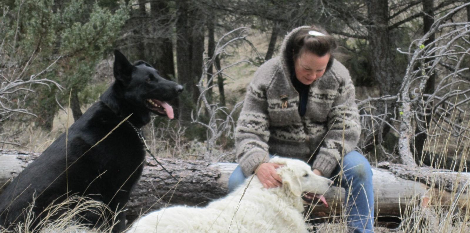 Harmony Farm Kennel and Lamb