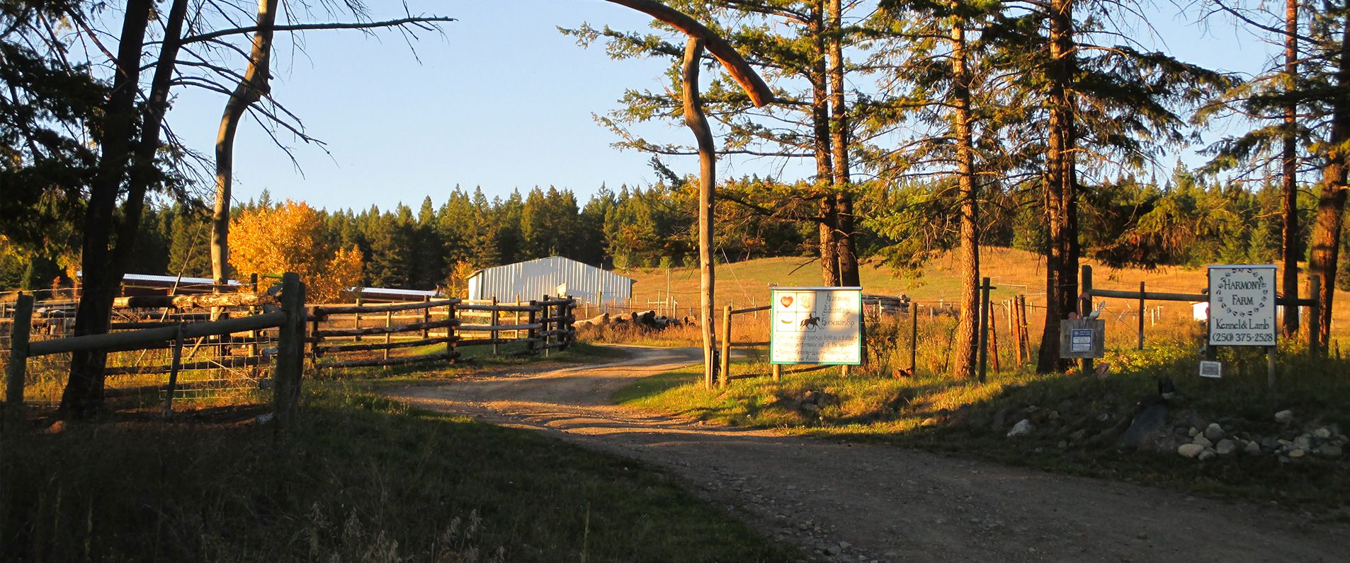 Harmony Farm Kennel and Lamb