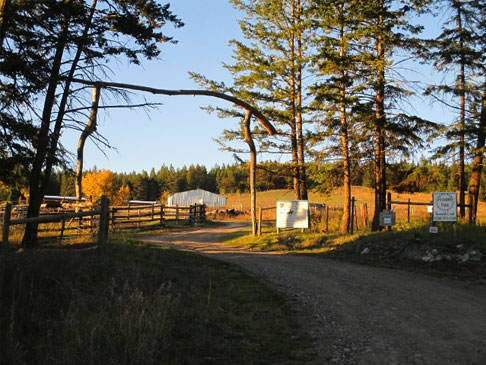 Autumn Gateway