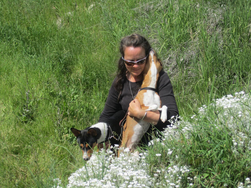 Gerry & LVG Dogs In Forest